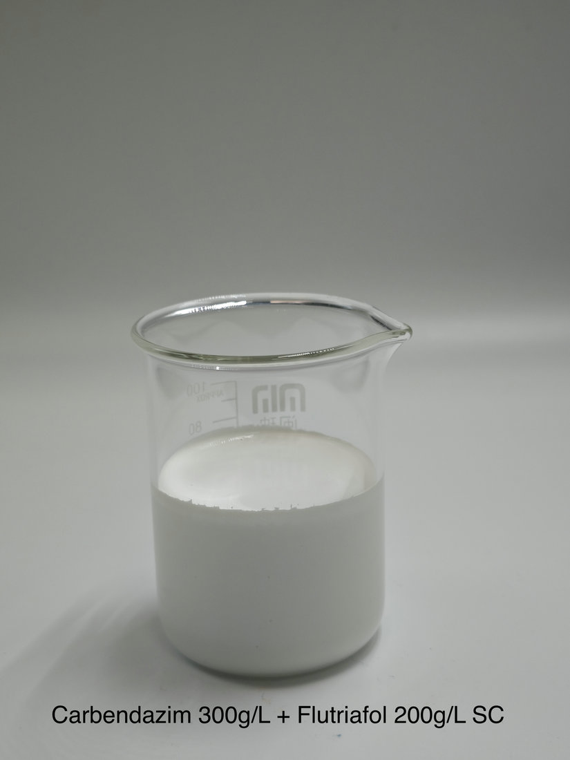 Carbendazim 300g/L + Flutriafol 200g/L SC
